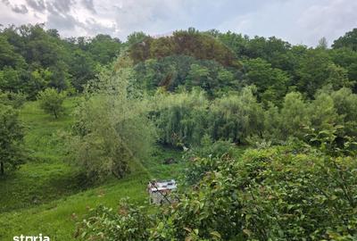 Casă cu 6 camere cu Teren 3548 Mp în Sănduleni - 4