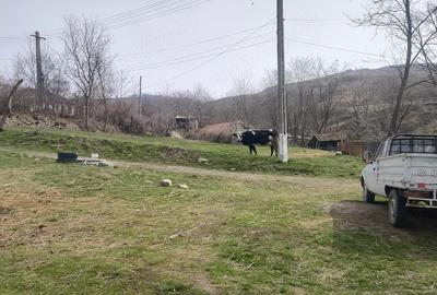 Teren de 2800 mp, în Racovițeni - 4