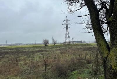 Teren de 21200 mp, în Lumina - 9