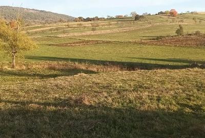 Casă cu Teren 7000 Mp în Fâșca - 2