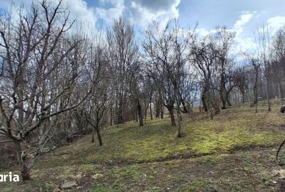 Casă cu 4 camere cu Teren 1600 Mp în Poiana - 3
