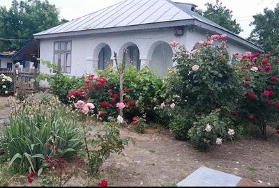 Casă cu Teren 2000 Mp în Codrești