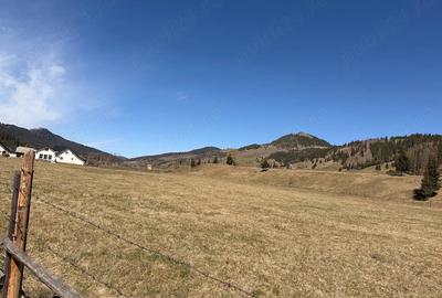 Teren de 20000 mp, în Ciocănești - 2