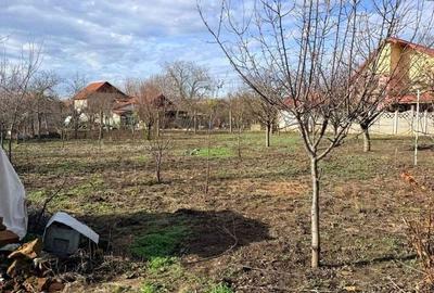 Casă cu 4 camere cu Teren 1200 Mp în Peciu Nou - 11