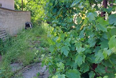 Casă cu 2 camere cu Teren 256 Mp în Central
