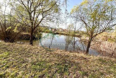 Casă individuală cu 6 camere cu Teren 27394 Mp în Nord-Est - 2