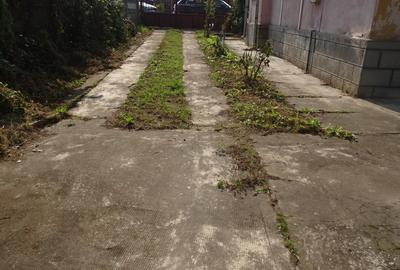 Casă cu 5 camere cu Canalizare în Viile Noi - 3