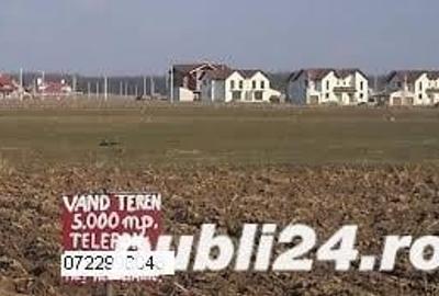 Teren de 5000 mp, în Șag