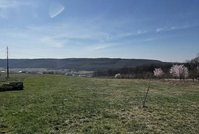 Teren de 1436 mp, în Betfia