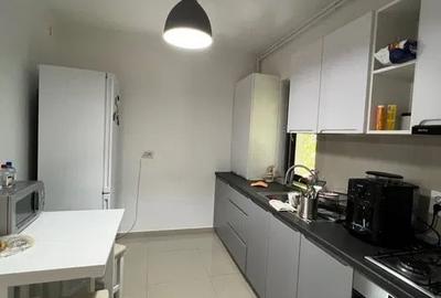 Apartament cu 2 camere decomandat, mobilat în Dacia - 4