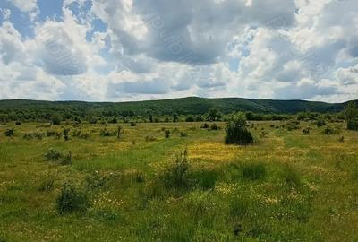 Teren de 1500 mp, în Merișani - 5