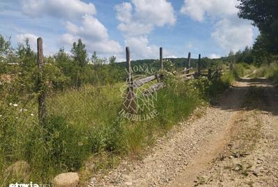 Teren de 40000 mp, în Central