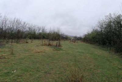 Teren de 2400 mp, în Găvănel - 3