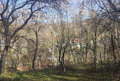 Teren de 3462 mp, în Piatra - 5