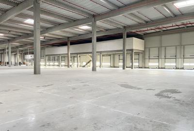 Spațiu industrial, de 5,500 mp, în Apahida - 1