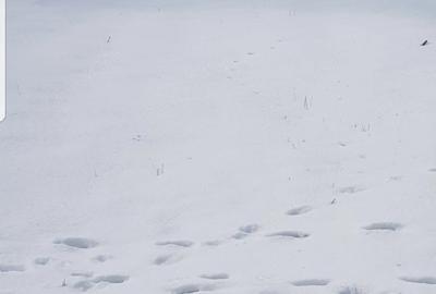 Teren de 900 mp, în Valea Sălciilor - 2