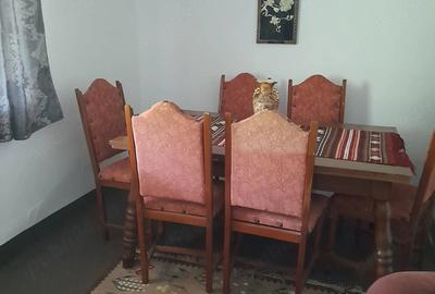 Casă cu 4 camere cu Teren 3500 Mp în Blahnița de Sus