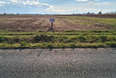Teren de 2600 mp, în Lunca Ozunului - 2