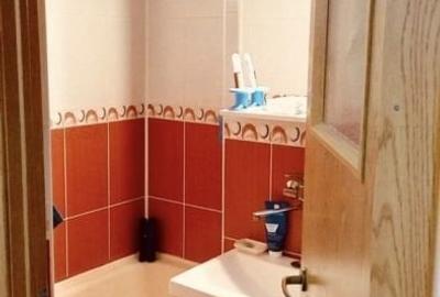 Apartament cu 2 camere decomandat, mobilat în Nicolina - 4