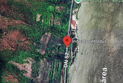 Teren de 100000 mp, în Berzasca - 2