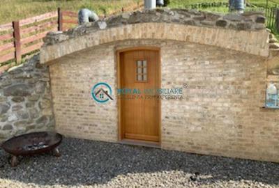 Casă individuală cu 5 camere cu Teren 2908 Mp în Valea Boroș - 55