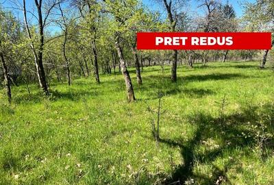 Teren Construcții intravilan de 3097 mp, în Corbi