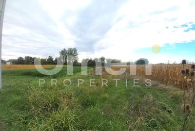 Teren Construcții intravilan de 1070 mp, în Cătălina - 2