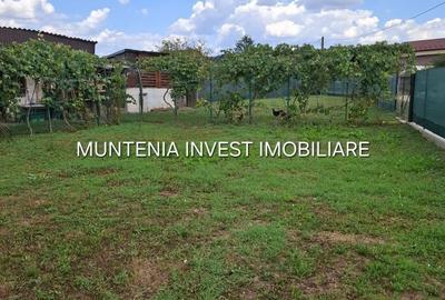 Casă cu 3 camere în Broșteni - 10