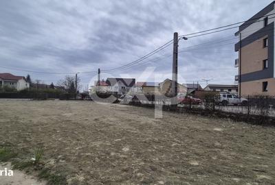 Spațiu comercial, în Trivale - 3
