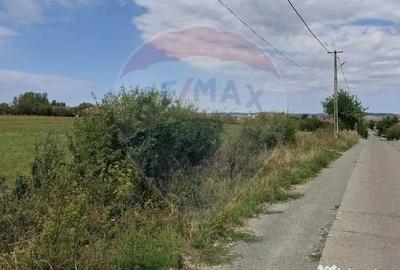 Teren de 9505 mp, în Tileagd - 3