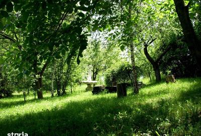 Teren de 14000 mp, în Mihai Viteazu - 7
