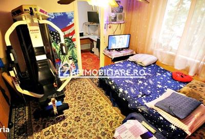 Apartament cu 2 camere semidecomandat, mobilat în Mureșeni