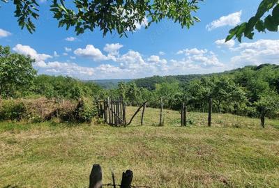 Teren în Milcoiu - 6