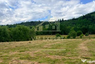 Casă cu 3 camere cu Teren 6997 Mp în Bughea de Sus - 10
