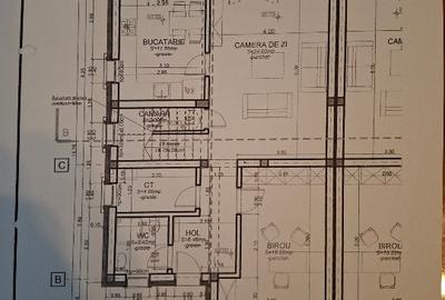 Duplex cu 5 camere în Dumbrăvița - 3