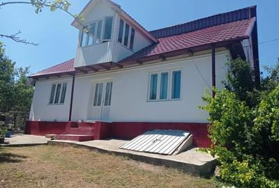 Casă cu 4 camere cu Teren 3700 Mp în Bârsănești