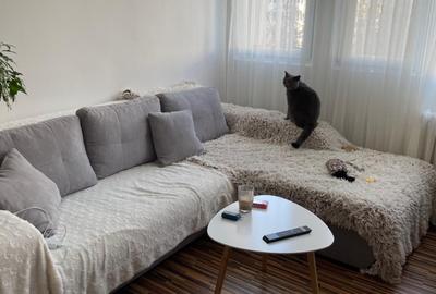 Apartament cu 2 camere decomandat în Bucur Obor