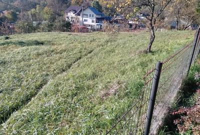 Teren de 1028 mp, în Băcești - 7