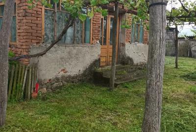 Casă cu 3 camere cu Teren 6000 Mp în Bretea Mureșană