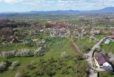 Teren Construcții intravilan de 1646 mp, în Cărbunari - 13