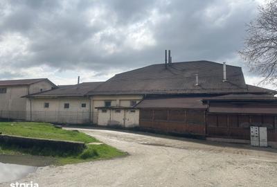 Spațiu comercial, de 4,000 mp, în Motru - 12