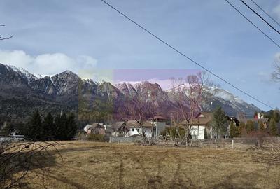 Casă individuală cu 5 camere cu Teren 251 Mp în Piatra Arsă - 3
