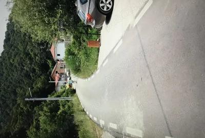 Teren de 3000 mp, în Dubova - 1