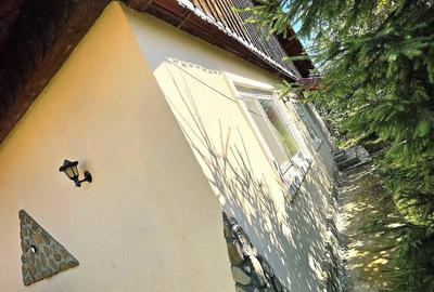 Casă cu 5 camere cu Teren 2800 Mp în Borca