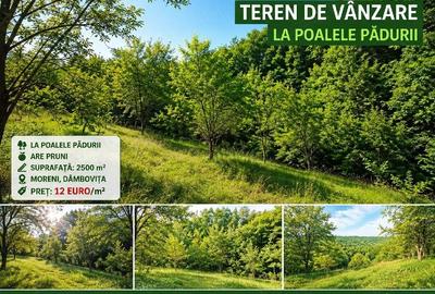Teren de 2500 mp, în Central
