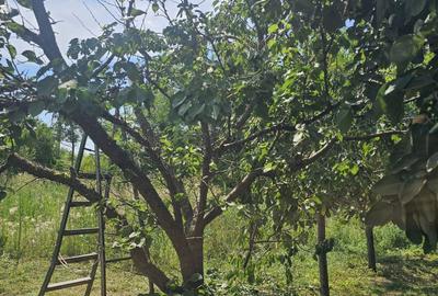 Casă cu 3 camere în Sărățeni