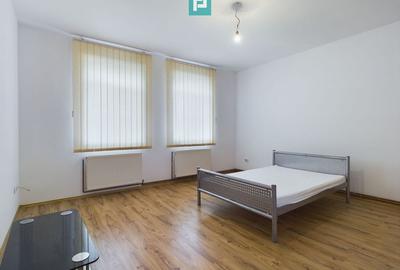 Casă cu 5 camere cu Teren 1901 Mp în Cărpiniș - 7