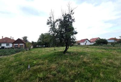 Casă cu 3 camere decomandat în Arpașu de Jos - 3