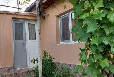 Casă cu 3 camere în Ianca - 5