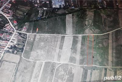 Teren de 4900 mp, în Central